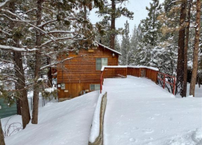 Harrison's Hanger - Cozy cabin with a fairly nice view of the tree line! Wood burning fireplace!